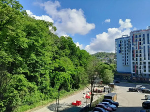 Апартаменты Студия 55 в Летнем