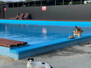 Персиковый Остров