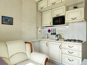 Апартаменты однокомнатная квартира на Фермора район "Сельма"