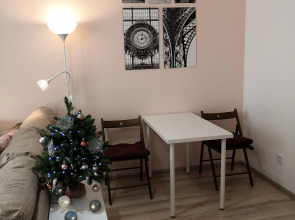 Апартаменты Студия на улице Соболева 19