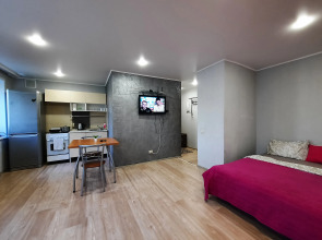 Апартаменты RadishevaPark