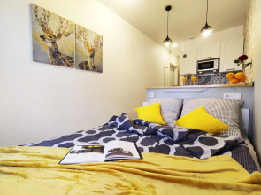 Apartamenty v avtorskom stile m.Fizteh