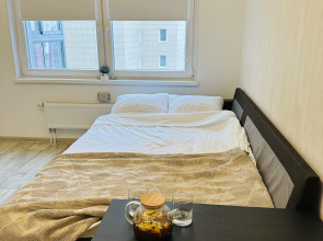 Апартаменты Однокомнатная около вокзала