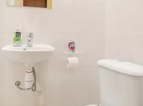 Апартаменты в ЖК Царская Площадь 383-1