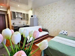 Квартира - студия в тихом районе города