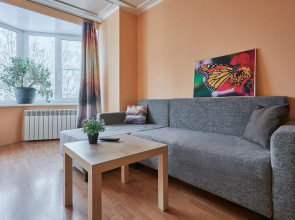 Квартира на Озерковой 51к2