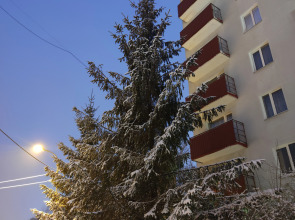 Отель Патриот