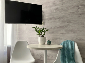 Апартаменты Студия на Рубинштейна 23