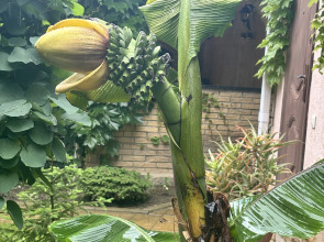 Гостевой дом Черноморье