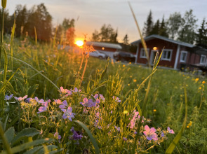 Гостевой дом 8 VILLANORDA