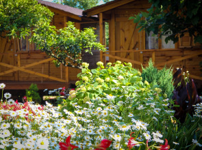 База отдыха Теремки