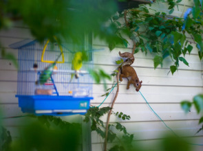 Гостевой Дом Аква-Солярис