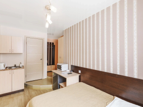 Двухместная мини-студия Авион