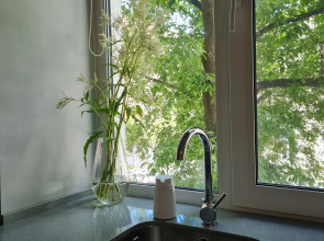 Квартира В историческом центре Екатеринбурга