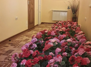 Гостевой дом на Есенина