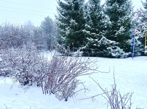 Частный Дом Гостевой Дом Pine Housе