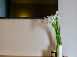 Апартаменты Ordzhinikidze Street