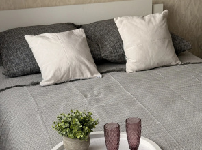 Odnokomnatnye Khirurgicheskaya 4 Apartments