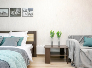 Апартаменты Cosmos Apart на Революции 54 (1)