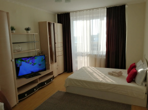 Tsentr Apartamenty Flat