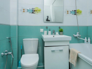 Апартаменты Апарт Трофи мансарда у парка