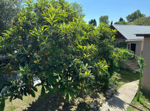 Гостевой дом Новый Афон