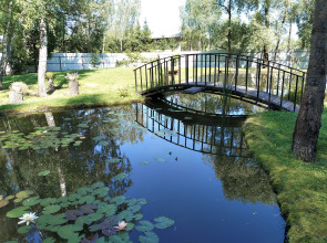 Частный Дом Уютный Домик в Лесу у Пруда