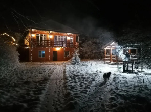 Гостевой дом Хижина