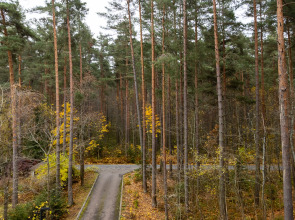 Квартира Студия с Качелью в Зеленогорске