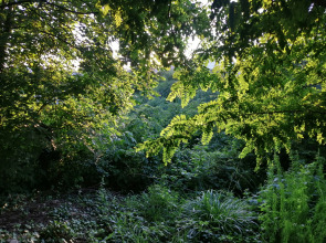 Гостевой дом Сола