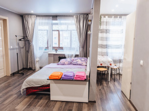 Квартира Сойфера 17