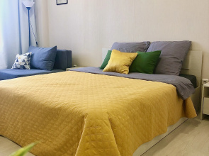 Svetlaya Uyutnaya Studiya Flat