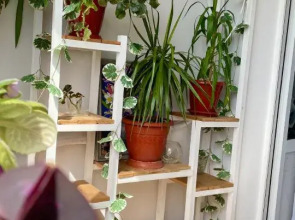 Квартира Солнечный пас у моря