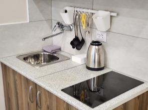 Апартаменты Уютная студия на Петроградской стороне