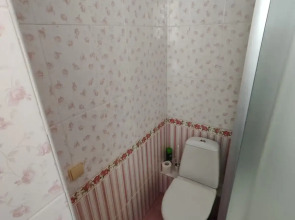 Апартаменты Золотой Шар на Революционной 2