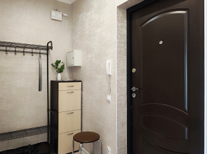 Апартаменты однокомнатная квартира на Фермора район "Сельма"