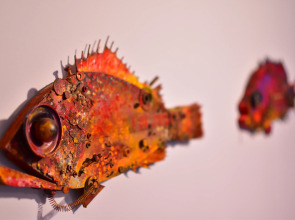 Квартира Дом библиотекаря с балконом