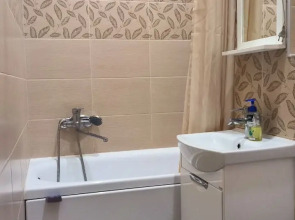 Квартира 1-ком студия эконом Нижегородский центральный район