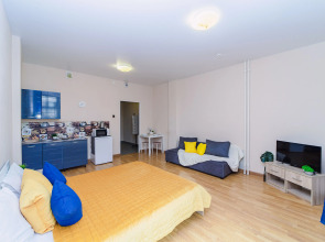 Апартаменты в центре Екатеринбурга на Белинского 30 (678)