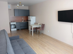 Квартира Уютная в центре Ленинского района Нижнего Новгорода