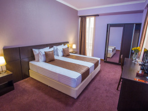 Отель Ani Central Inn