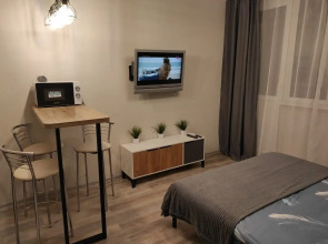 Квартира Отличная студия в Спутнике