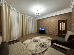 Квартира на проспекте Петра I 121