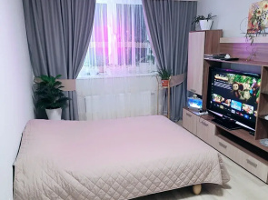 Svetlaya Odnokomnatnaya Kvartira v Tsentre Goroda Flat