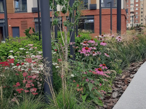 Апартаменты Онежская 4 you 2