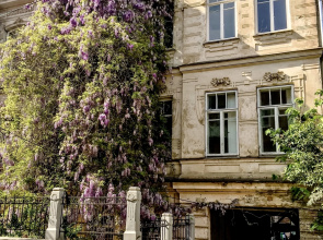 Anna Stevar Brand Apartments