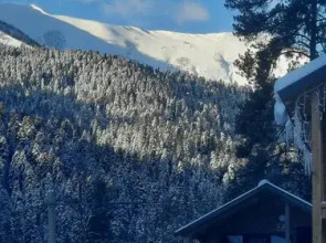 Гостевой дом Шаудан