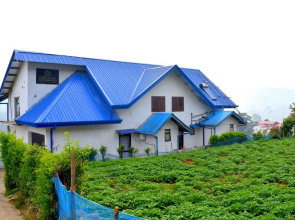 Yoho Pedro Resort Guest House