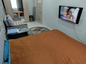 Квартира Уютная