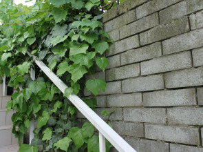 Dobro Pozhalovat Guest House